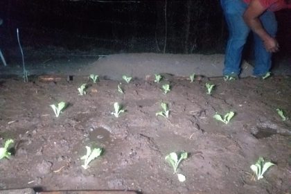 Coração Curumim MT
